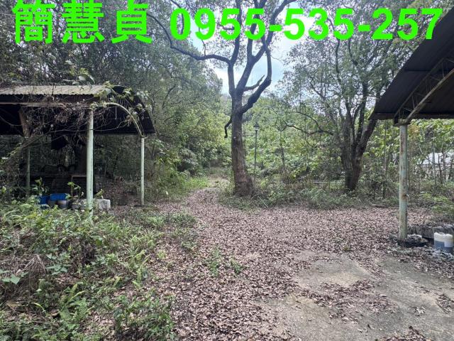 南投草屯農地-2