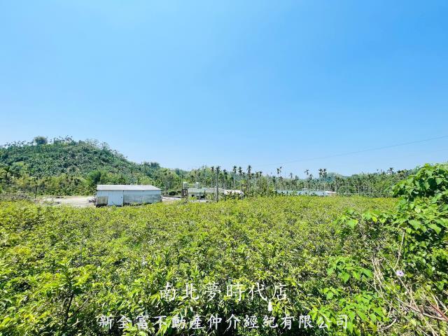 嘉義梅山農地-1