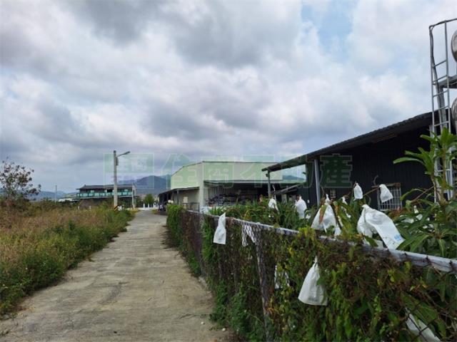 屏東恆春農地-14