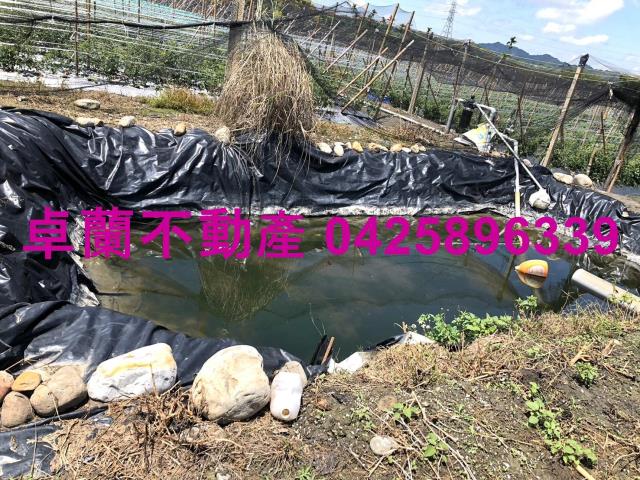 苗栗農地-10