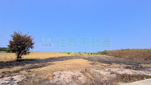 屏東農地-3