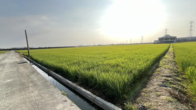 高雄路竹農地-13