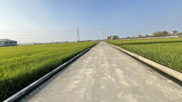 高雄路竹農地-12