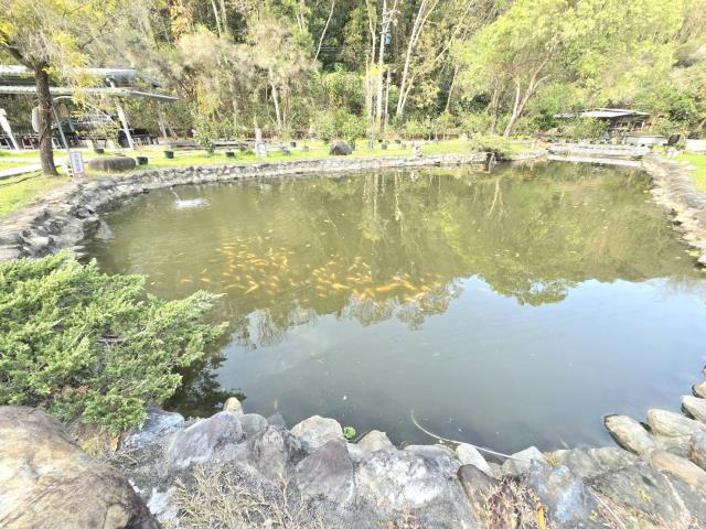 南投中寮山坡地-7