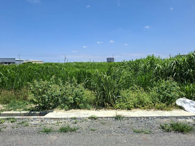 歸仁農地-5