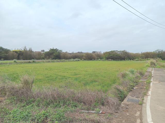 桃園觀音農地-2