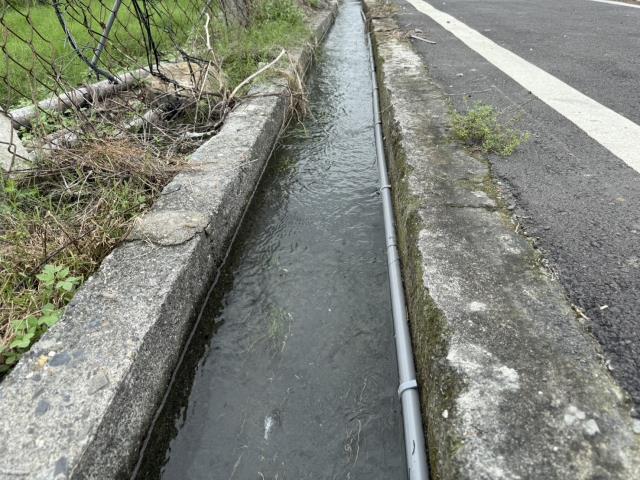 屏東鹽埔農地-8