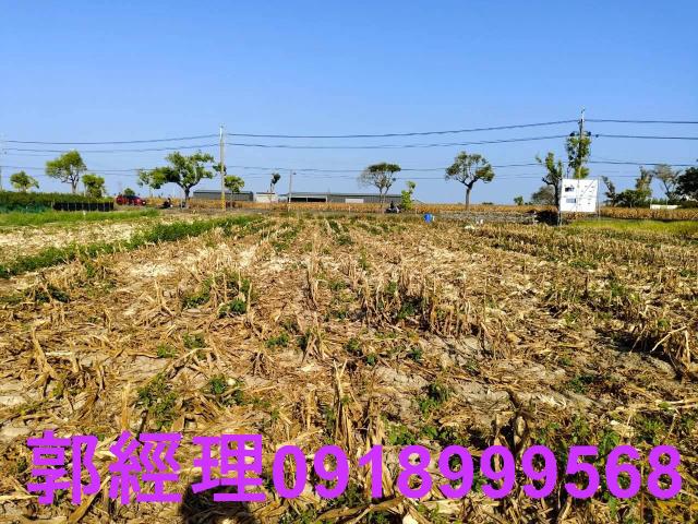 台南佳里農地-9
