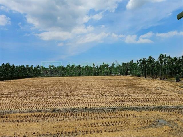 屏東新埤農地-2