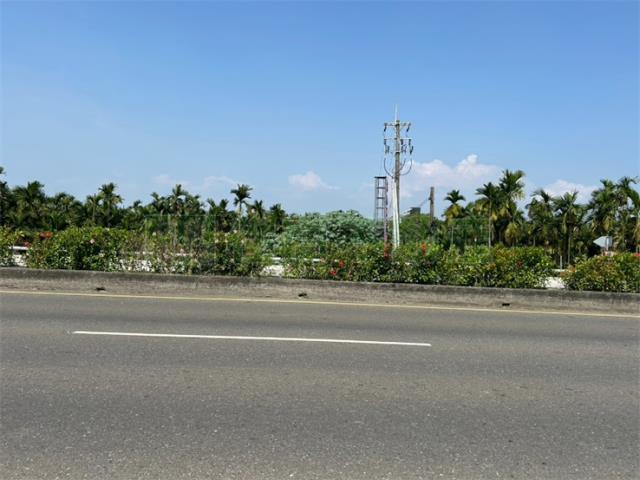 屏東新埤農地-6