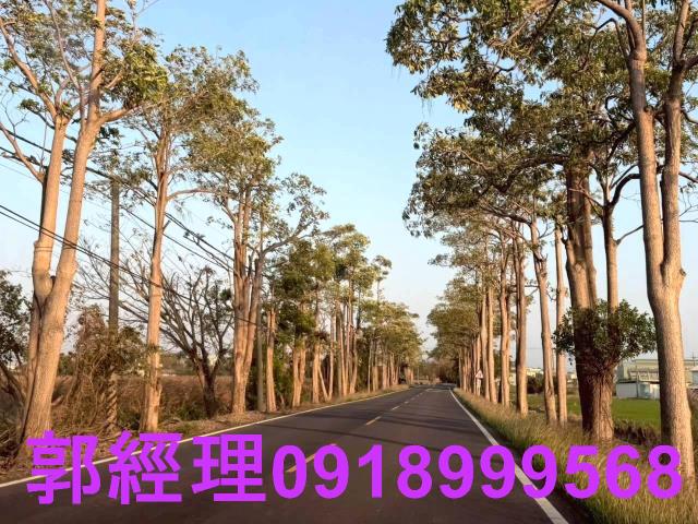 後壁建地-1