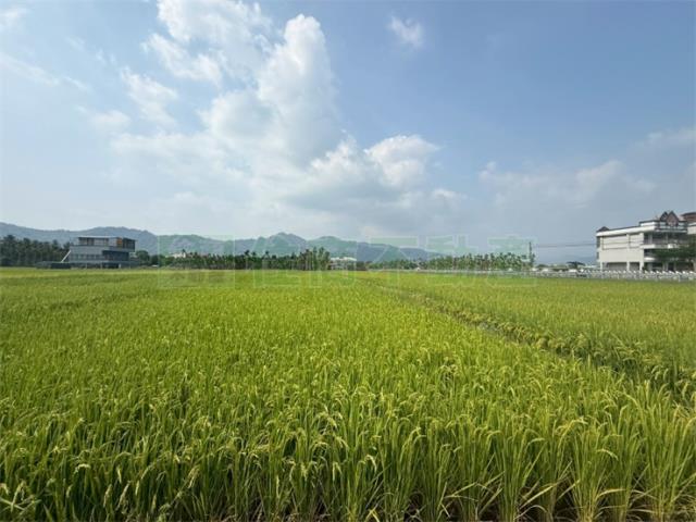 美濃農地-2