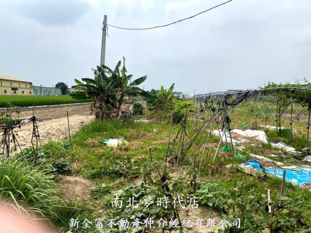 西區農地-11
