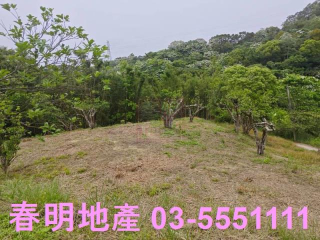 頭份農地-3