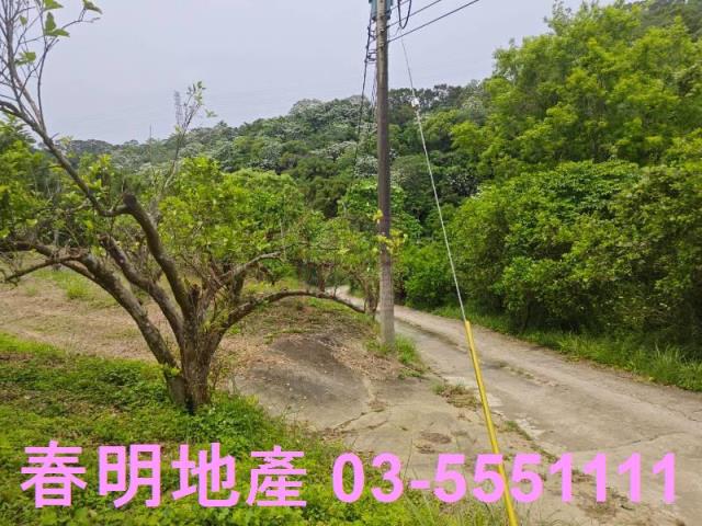頭份農地-4