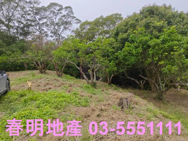 頭份農地-6