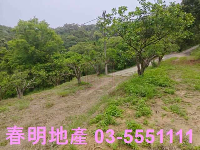 頭份農地-7