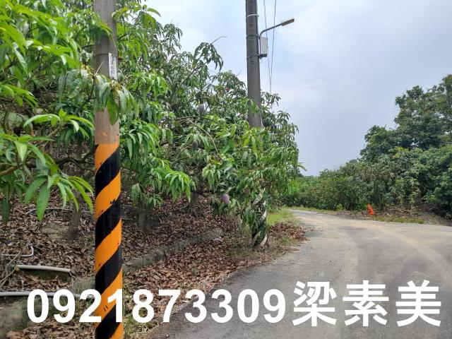 玉井農地-5