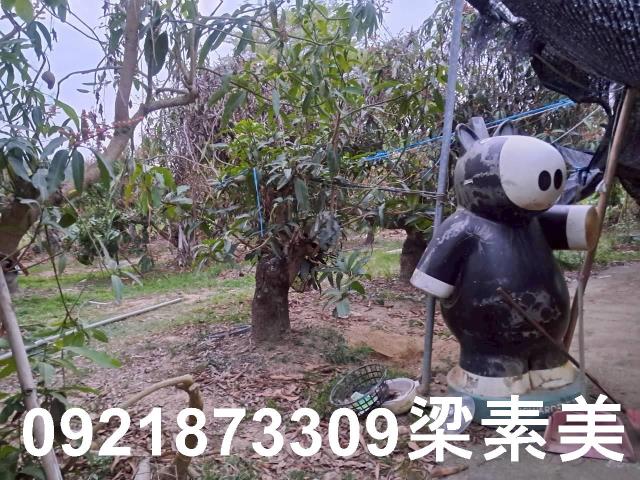 台南農地-9