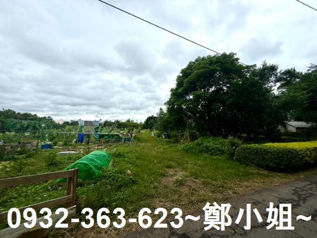 桃園農地-4