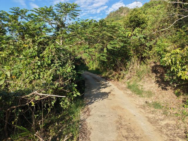 高雄內門農地-9