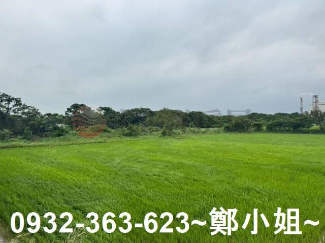 桃園新屋農地-10