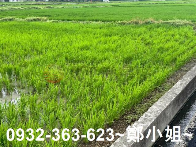 桃園新屋農地-11