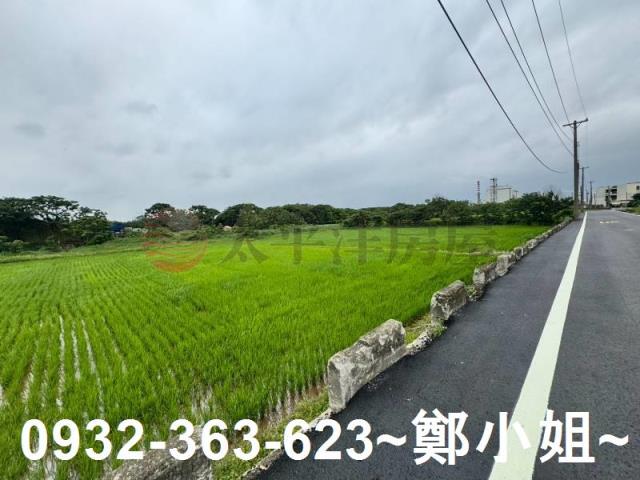 桃園新屋農地-13