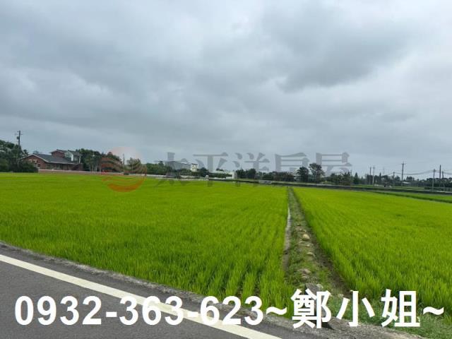 桃園新屋農地-2