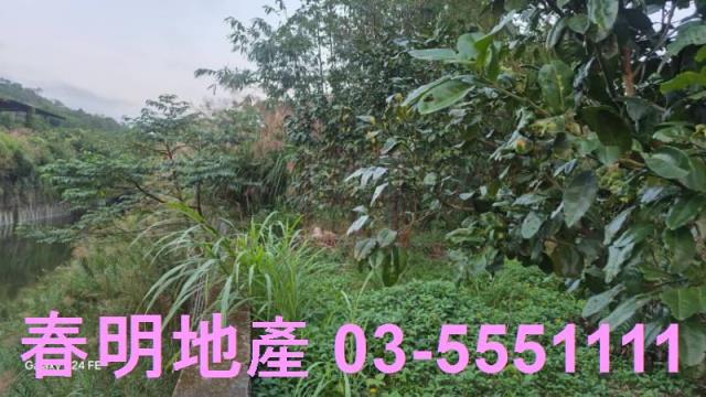苗栗造橋農地-7