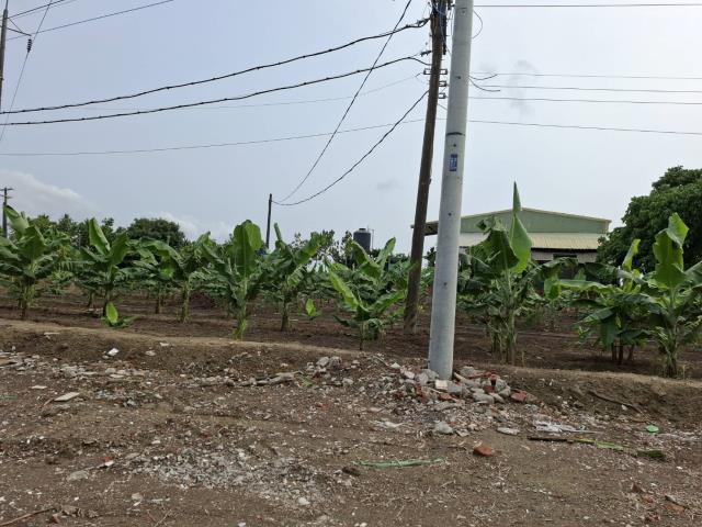 高雄路竹農地-4