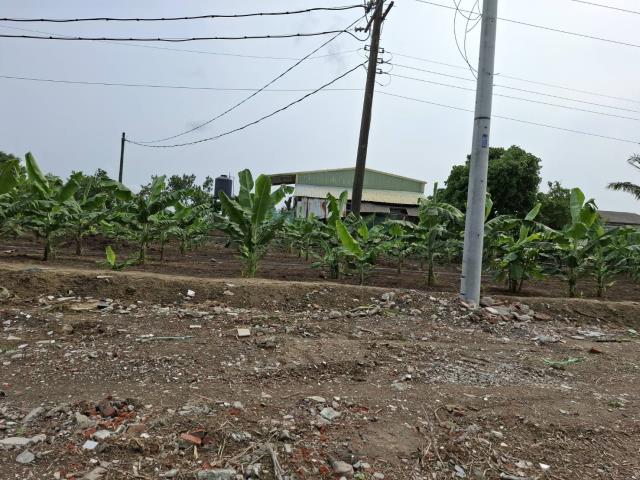 高雄路竹農地-7
