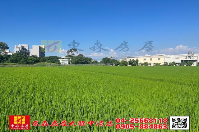 台中神岡農地-1