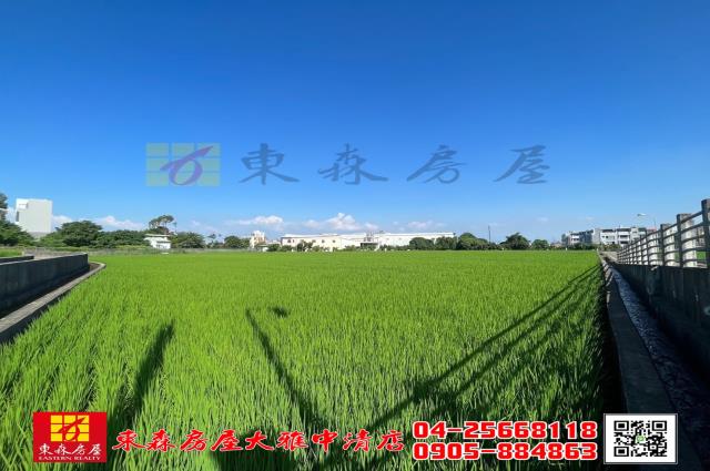 台中神岡農地-3