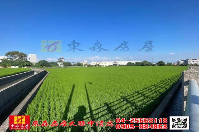 台中神岡農地-5
