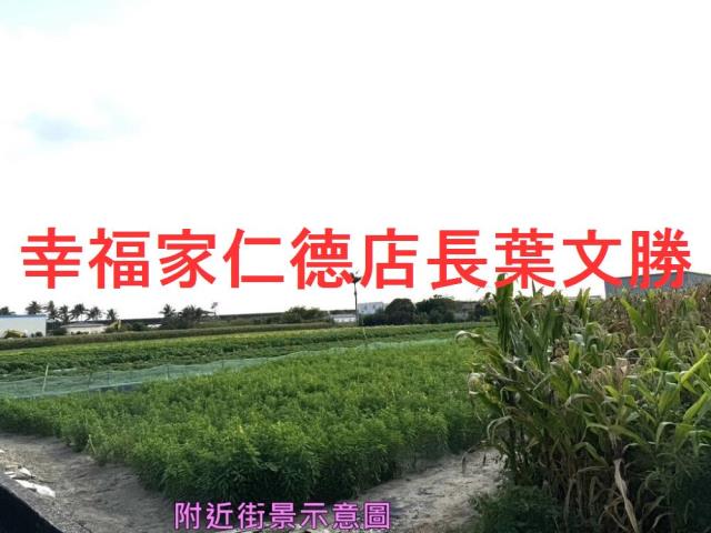 安定農地-10