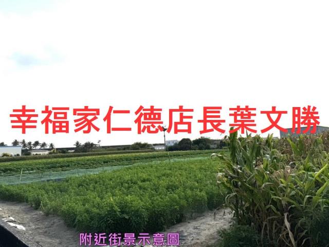 安定農地-15
