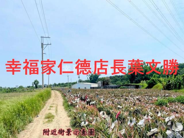 關廟農地-10