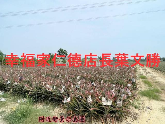 關廟農地-1