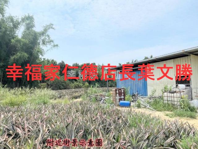 關廟農地-4