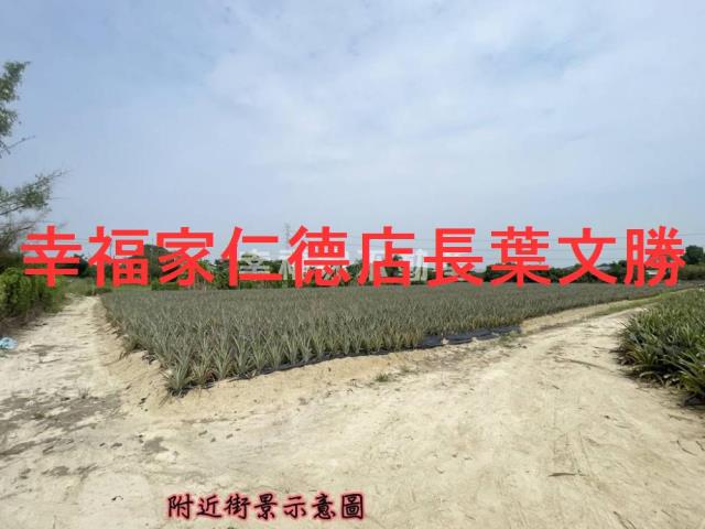 關廟農地-6