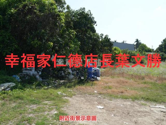 新化農地-15