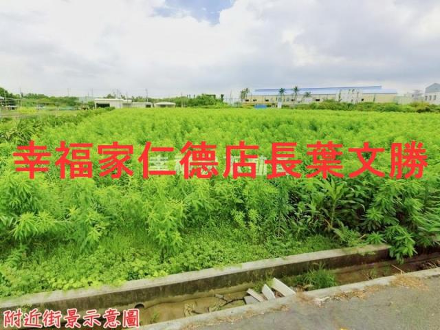 安定農地-8