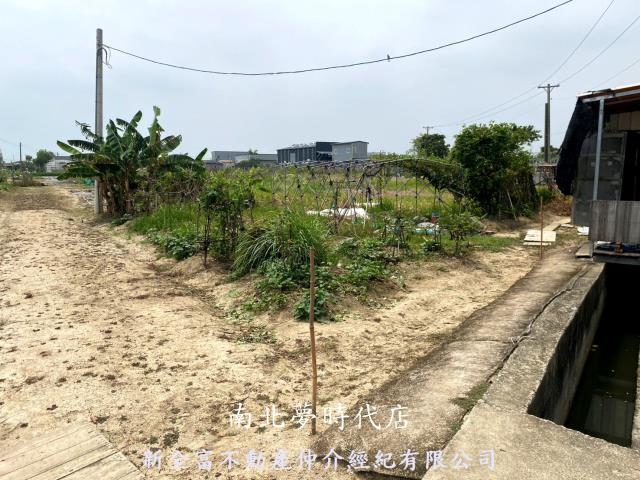 西區農地-13