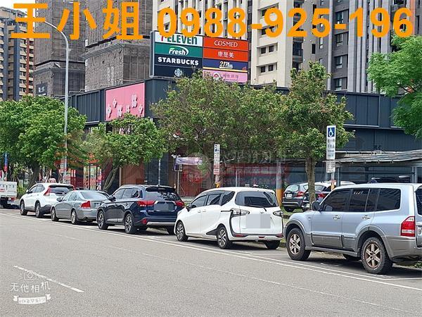 桃園建地-6