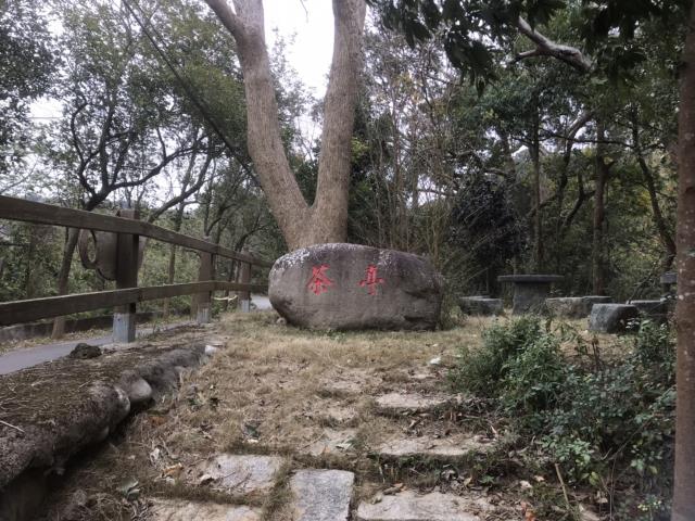 苗栗農地-7