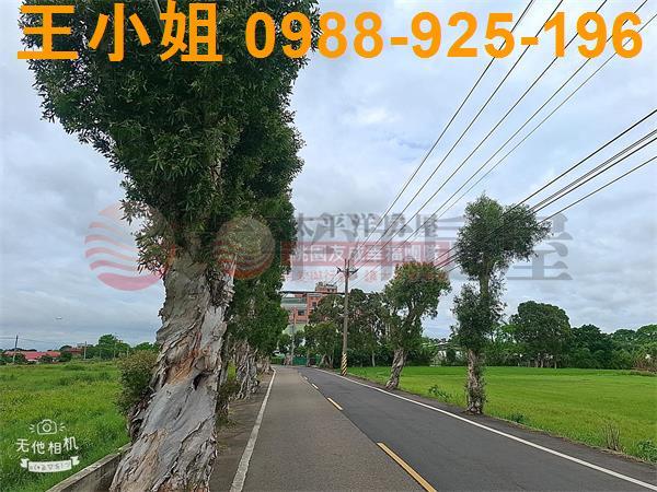 桃園農地-5