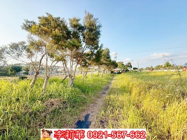 台南農地-8