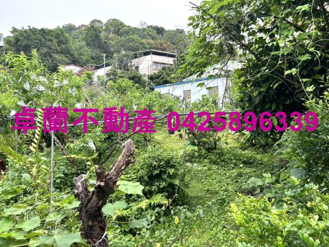 苗栗卓蘭農地-2