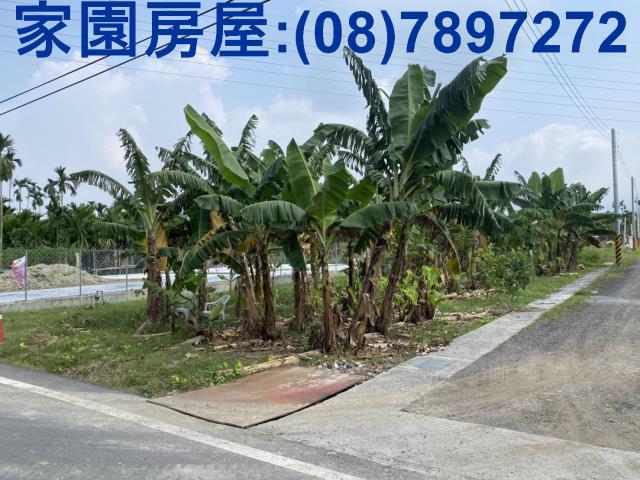 內埔農地-4